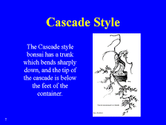 Cascade Style