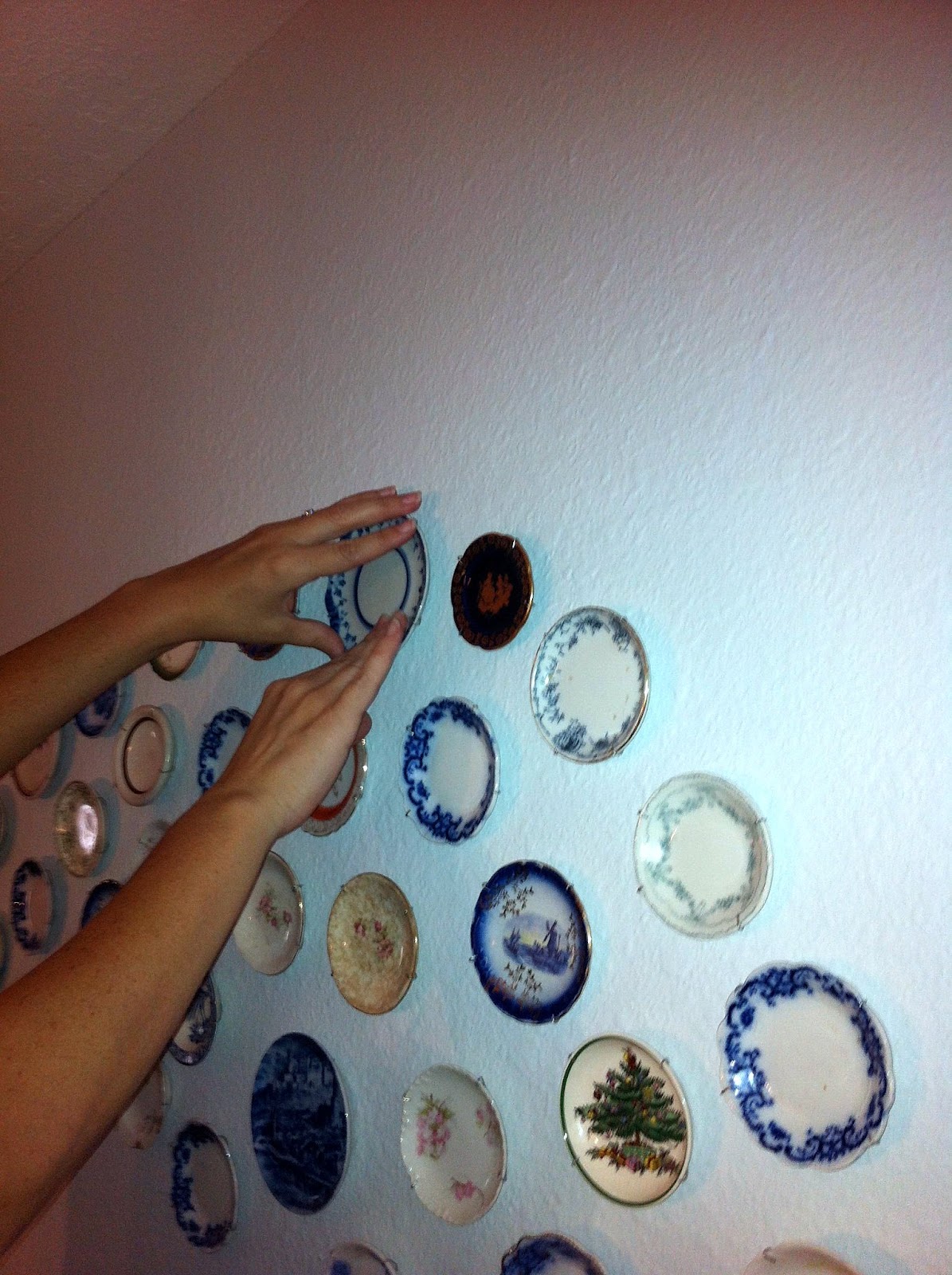 Conscious Eatery Plate Wall Art Project
