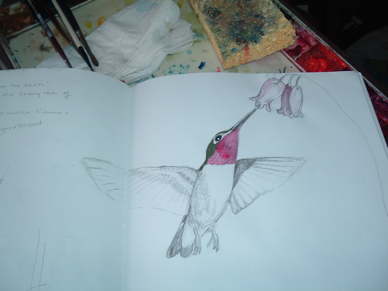 sketch of hummingbird