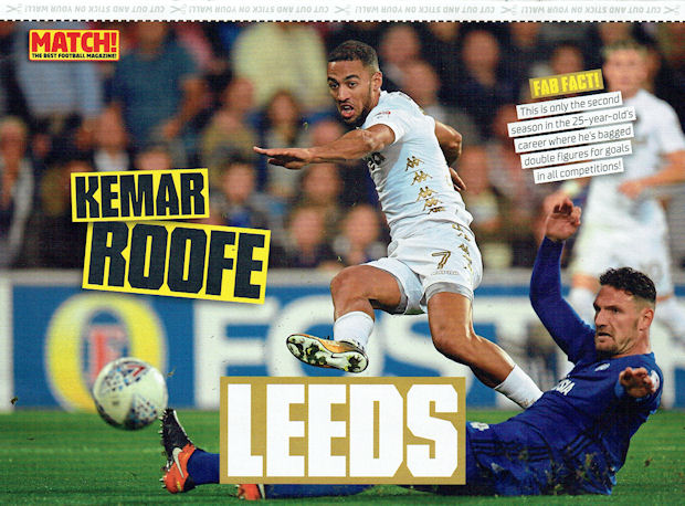 1 Fc Koln Logo Sticken Meiliese