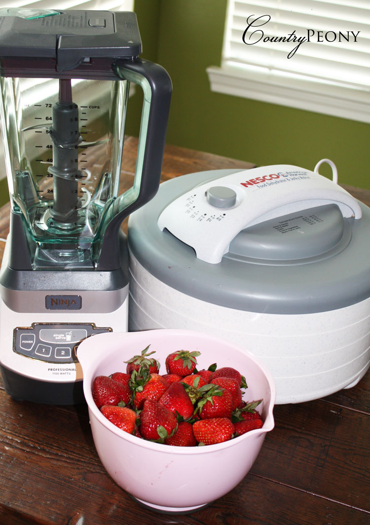 Country Peony Homemade Fruit Strips