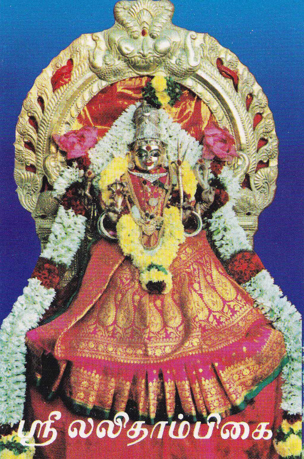 Veeramanidasan Amman Songs Free Download Mp3 Lasopaexcel Download the perfect download pictures. lasopaexcel