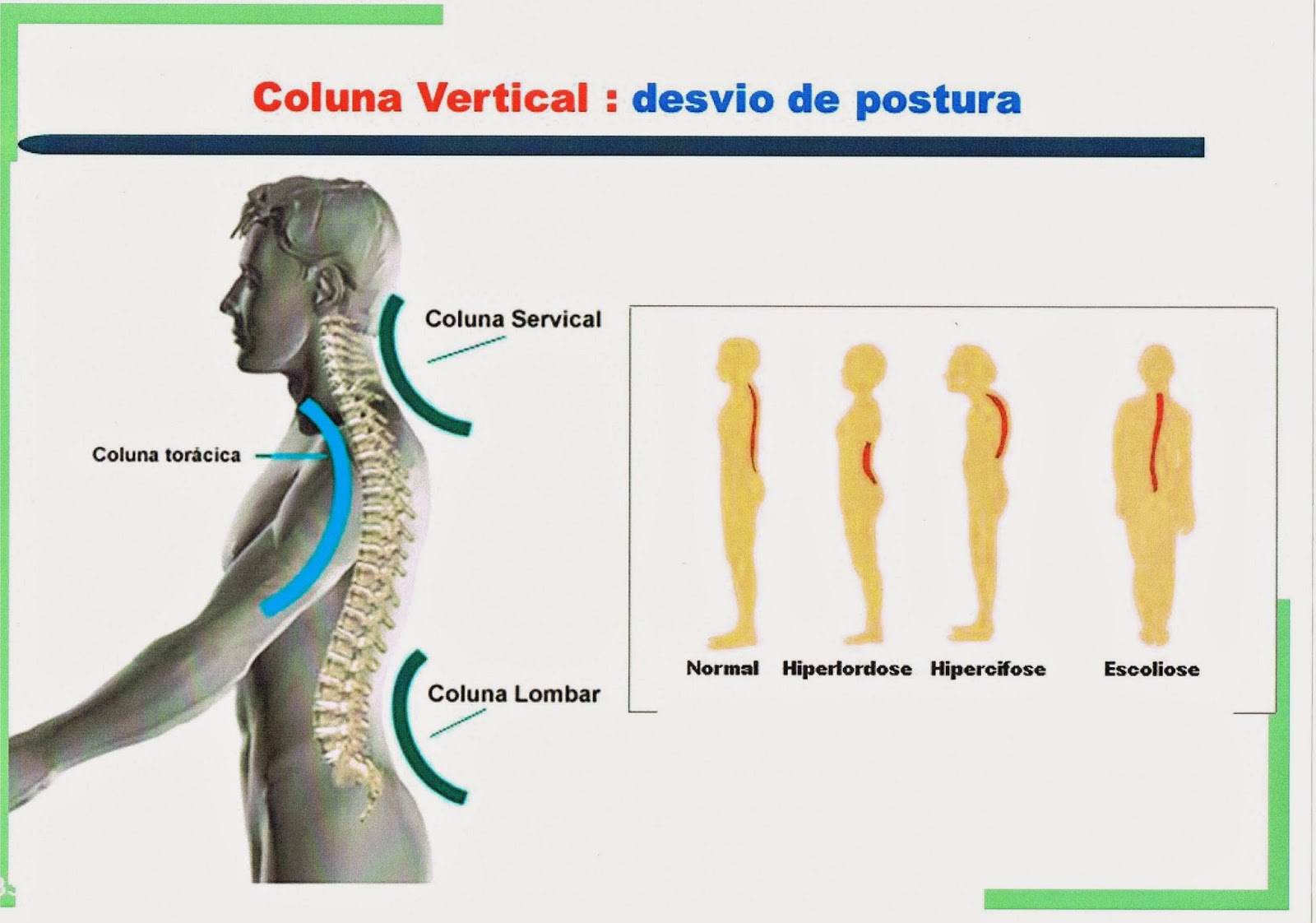 https://www.dropbox.com/s/ancxlcz7d6vvlko/TRAUMATOLOGIA%20Cris-%20Nieves.pdf?dl=0