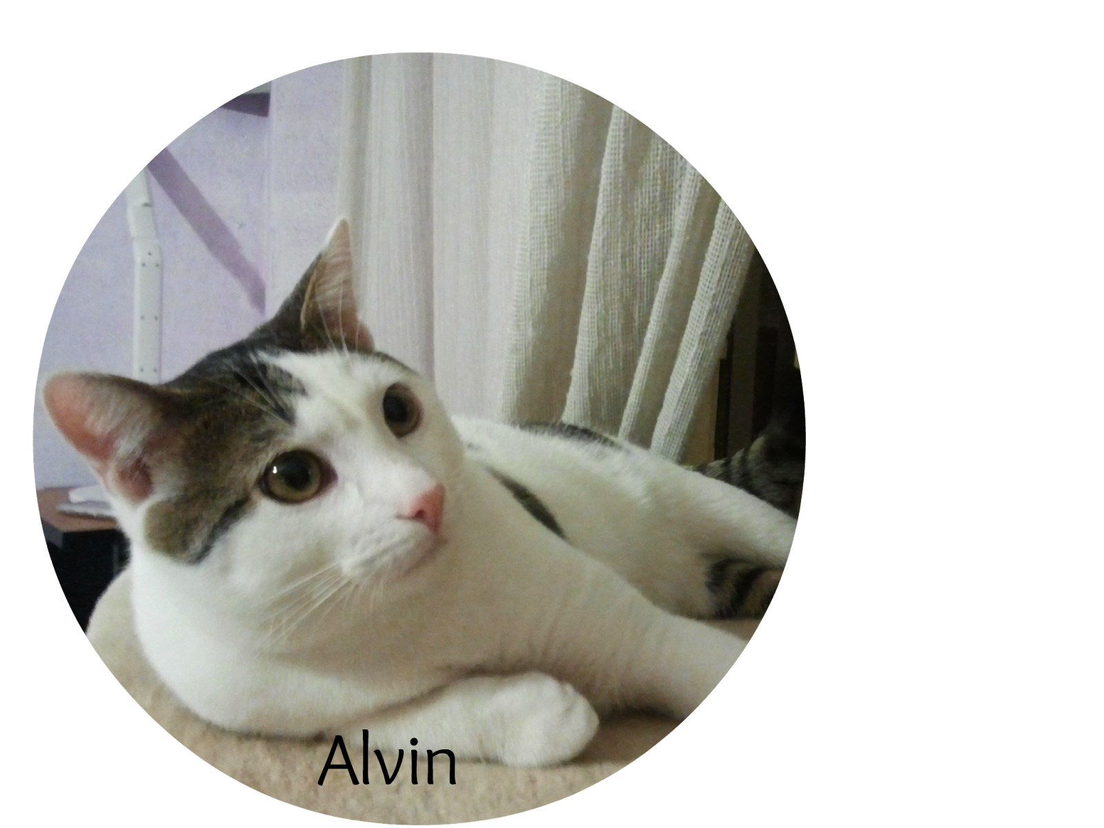 Alvin