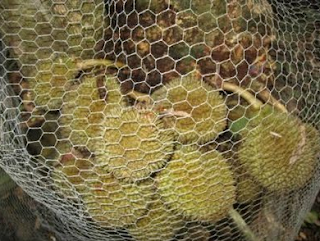 �������� 70.png