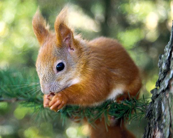 Girls lady gaga doing a blowjob pics girl plays with her tits teen girl anal porn movies