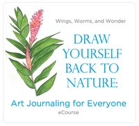 Draw Yourself Back to Nature eCourse