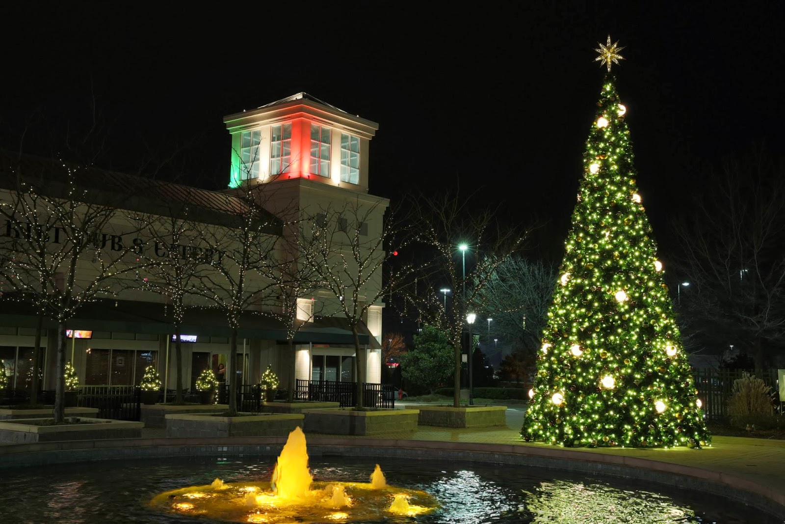 Downtown Decorations, Inc. The Avenue at White Marsh (2012)