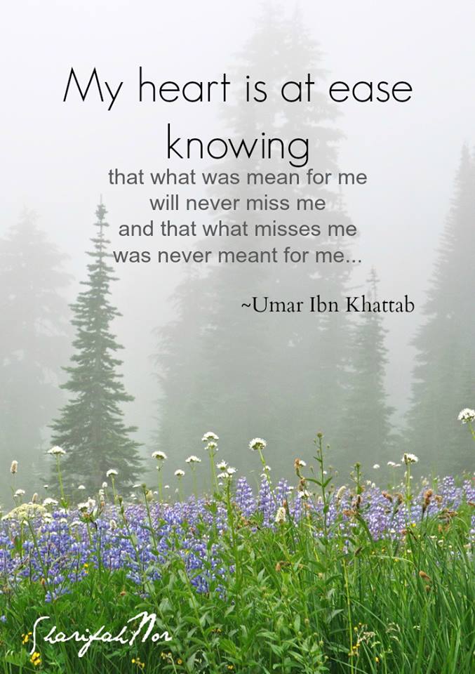 Quote by SharifahNor