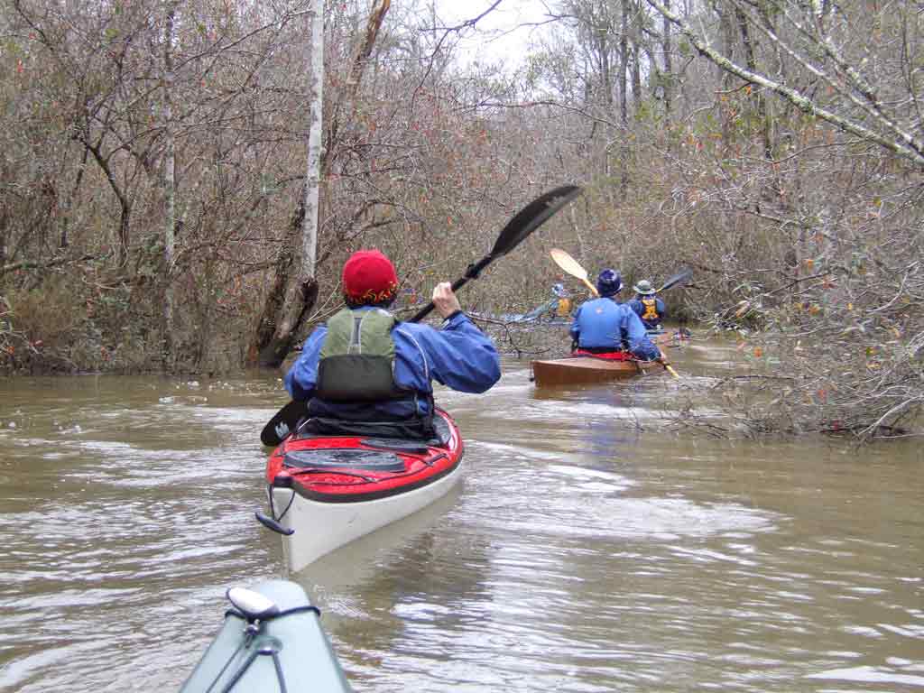 Kayaking the MobileTensaw River Delta 01/30/2010 Hurricane Bayou