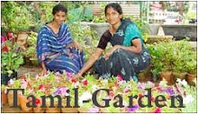 Tamil-Garden