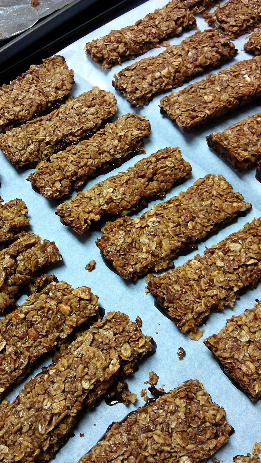 Living with Whimsy ChocolateDipped Granola Bars