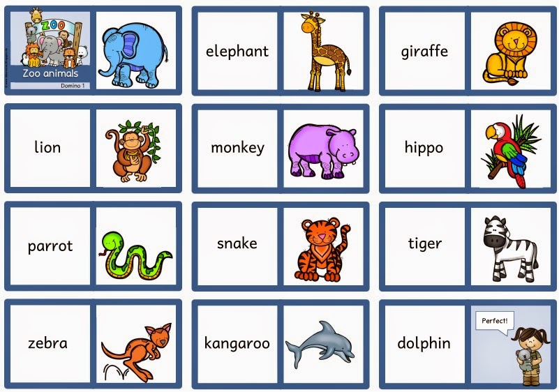 Ideenreise Flashcards Zoo Animals vrogue.co