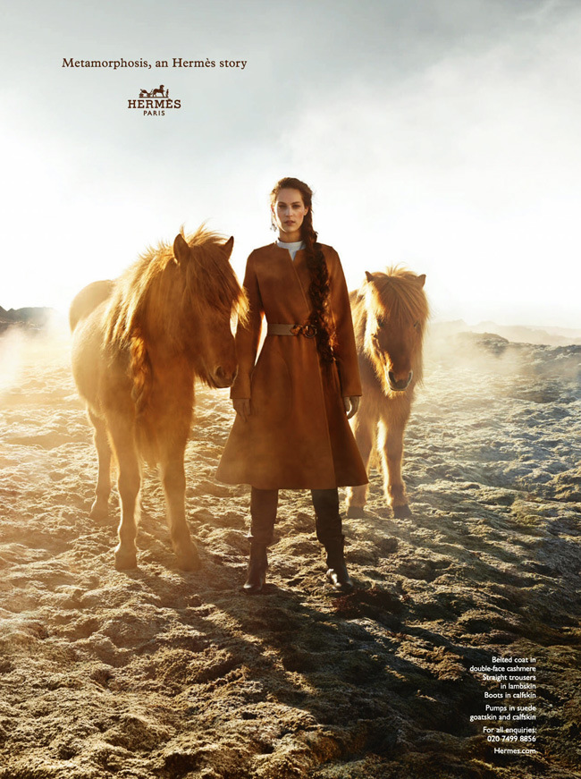 cheval rencontre divine