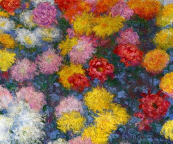 Chrysanthemums - 1897
