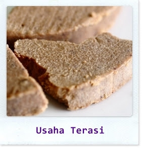 usaha terasi usaha pembuatan terasi udang ikan