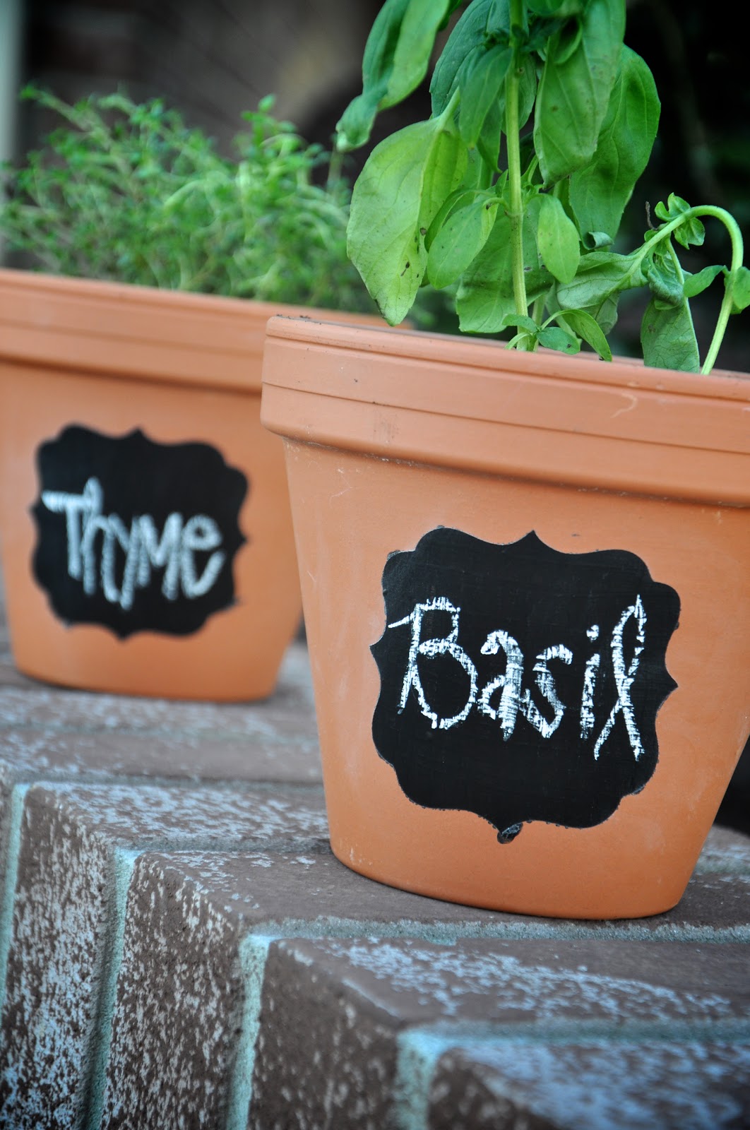 Spare Time & Seersucker Chalkboard Paint + Gardening Pots