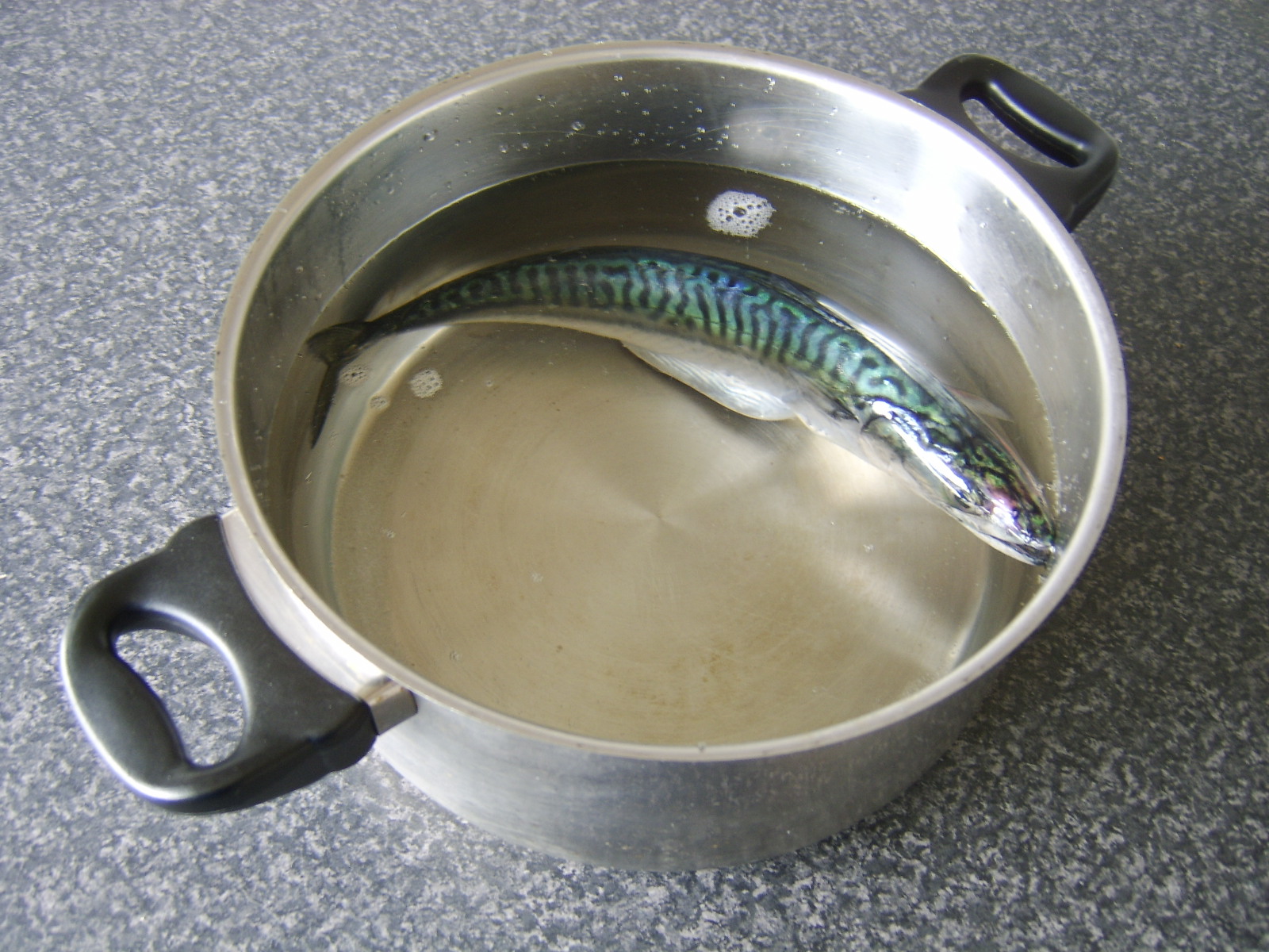 A Guide to Sea Fishing the West of Scotland and Cooking your Catch