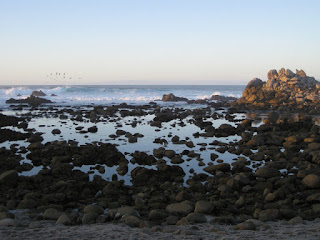Waves break offshore, rocky tide pools still as glass, Pacific Grove, California