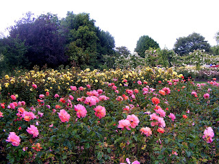 Regent Park, London