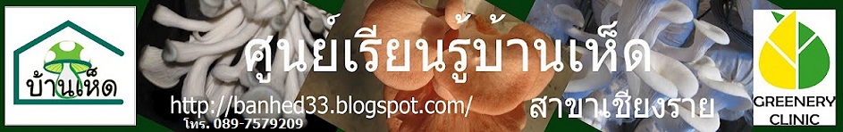 ศูนย์เรียนรู้บ้านเห็ด สาขาเชียงราย/บ้านเห็ด/banhed