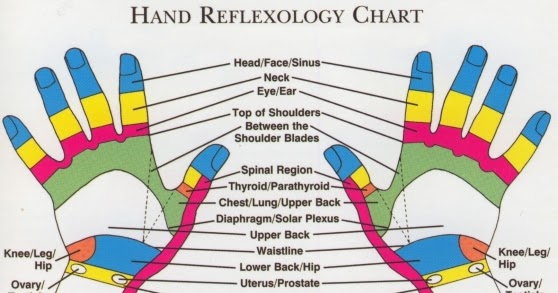 Top Of Hand Reflexology Chart