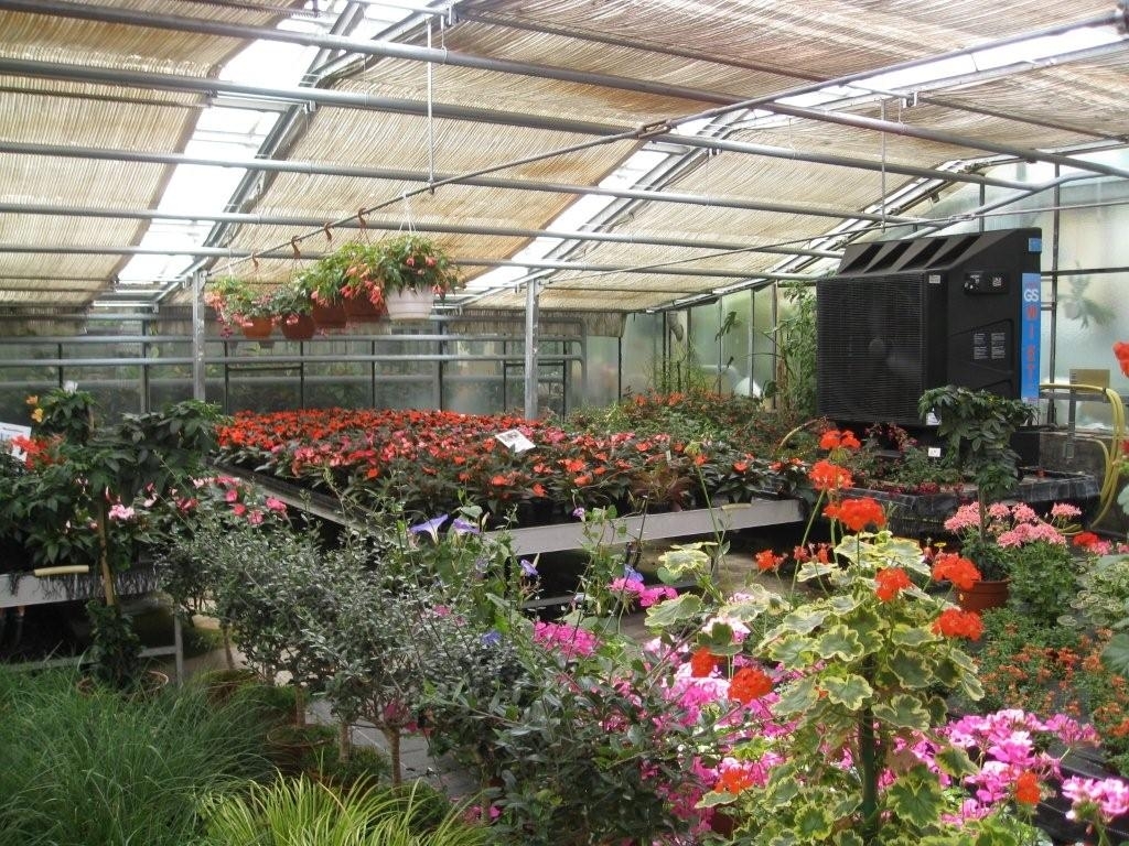 Greenhouse cooling Europe PORTABLE ENVIRONMENTALLYFRIENDLY COOLERS