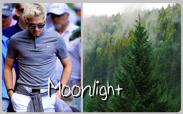 Moonlight // Horan