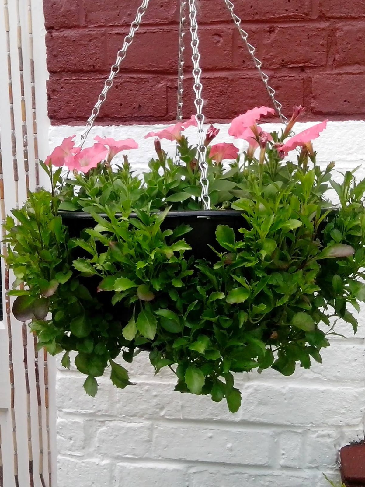 BestBuys Easy Fill Hanging Baskets