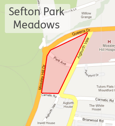 Save Sefton Park Meadows Save Sefton Park Meadows