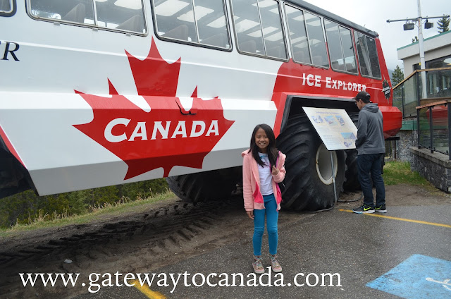 Alberta Immigrant Nominee Program (AINP)