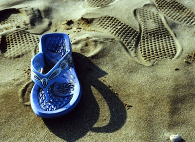 Fotografías de objetos varados en la playa (Washed Up)
