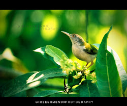 land and life through camera