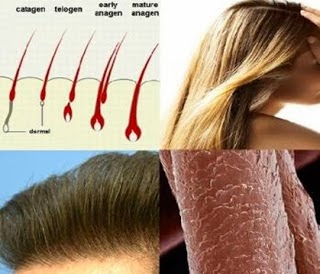 The Book Of Knowledge 7 Ways To Naturally Grow Your Hair