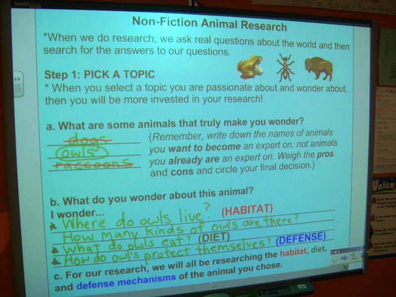 Life in 4B... Animal Research, Part 1
