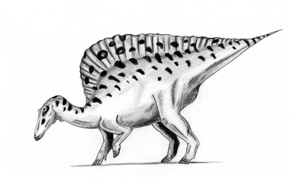 Extinct Animal Of The Week February 2012
