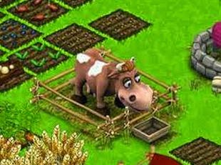    Game Happy Farm