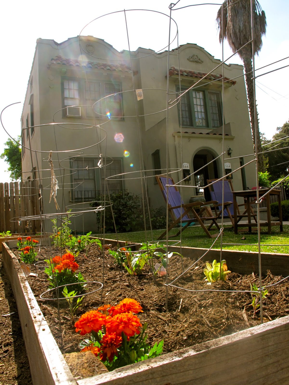 JACK at RANDOM DIY Reclaimed Wood, Raised Bed Garden