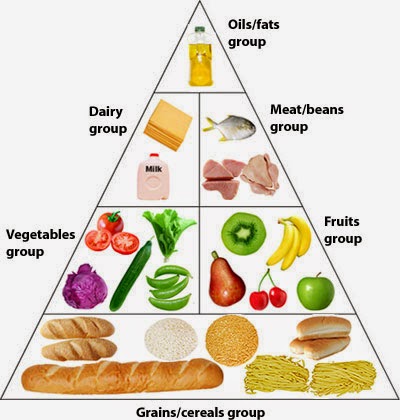 Types Of Food Chart