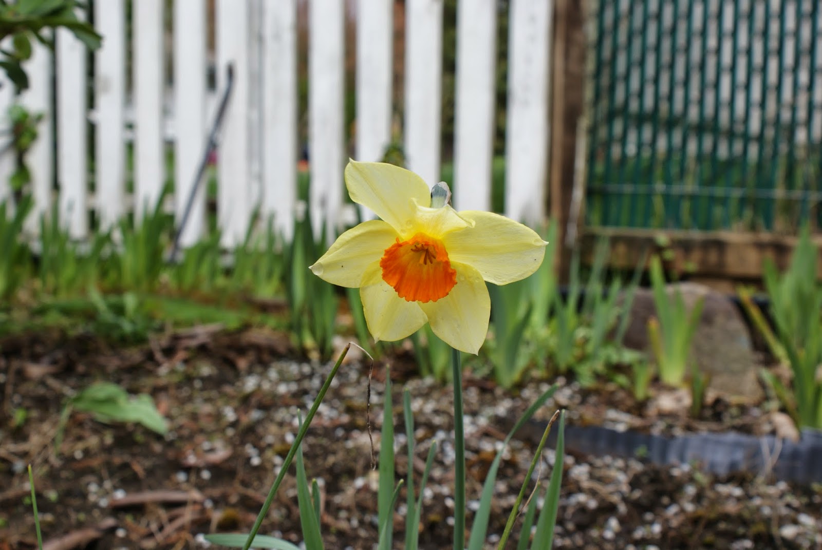 Uncledan 初春美景共舞湖