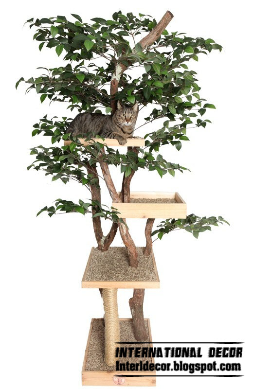 Modern wall shelves in tree branches style, tree shelves