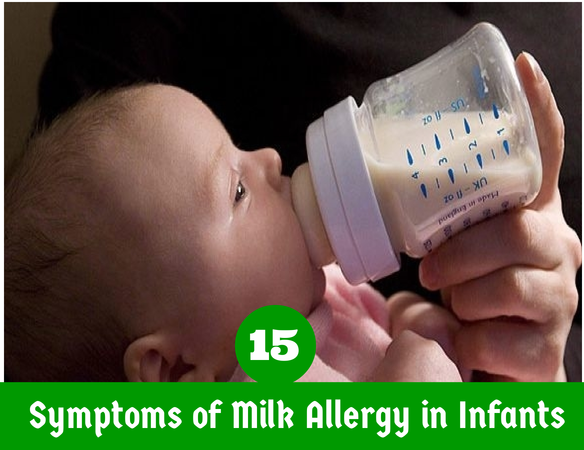 Protein allergies symptoms adults