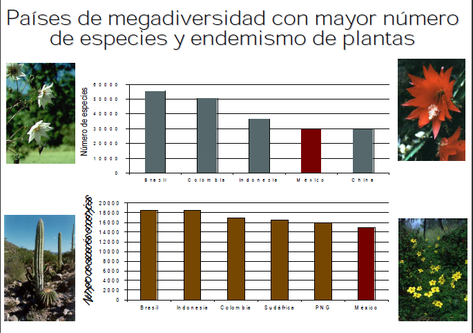 Paises con mayor numero de endemismos de plantas en el mundo