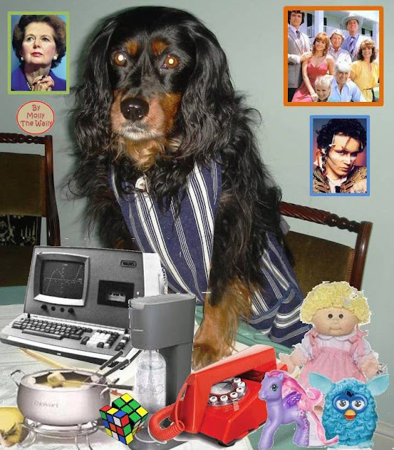 Molly The Wally goes retro. Molly The Wally goes retro.