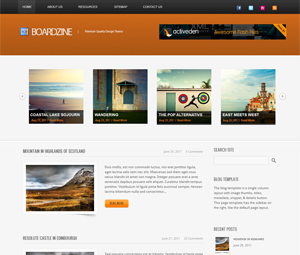 BoardZine WordPress Theme
