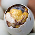 Weirdest Foods From Around the World