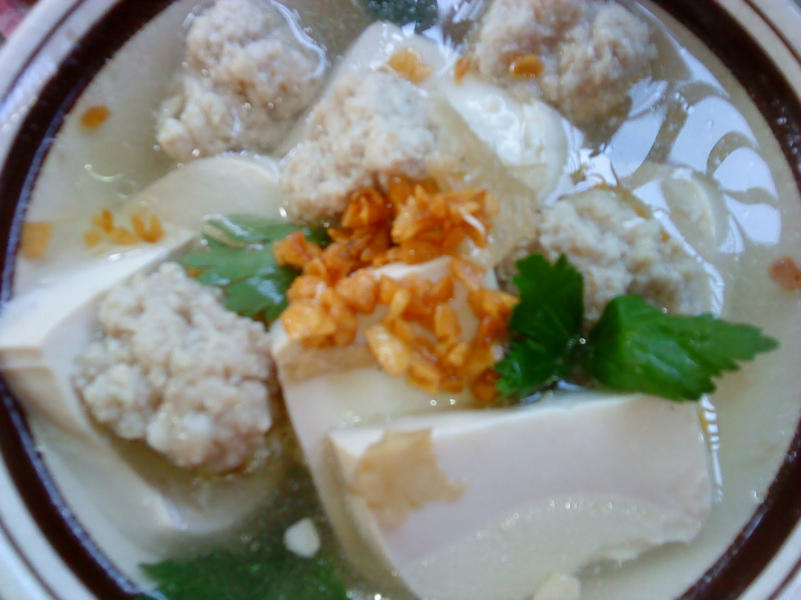 Cooking Pleasure Tofu and Meatballs Soup