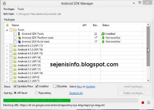 android sdk manager path windows