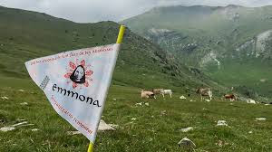 ULTRA TRAIL EMMONA