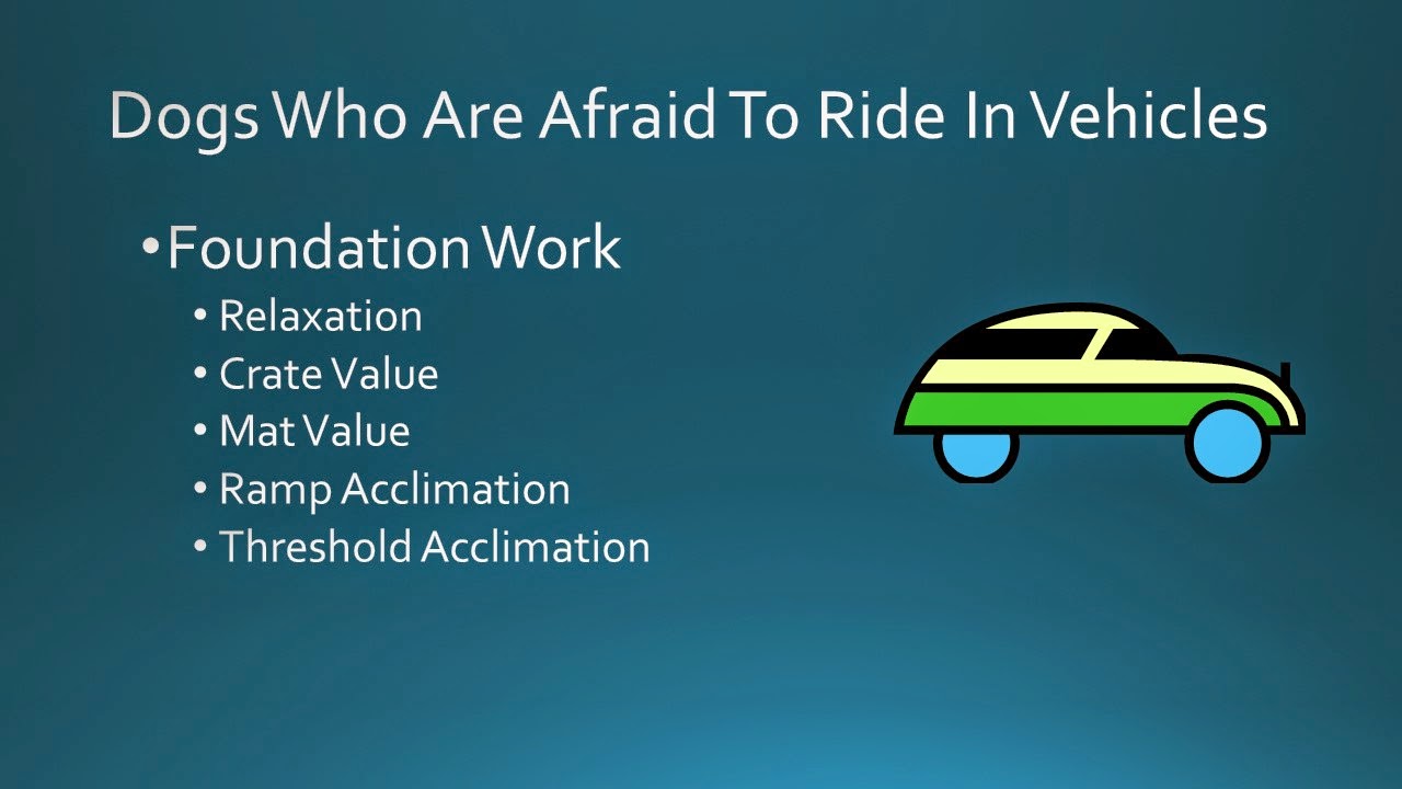 Pet Education Dog Afraid of Riding in Vehicle. Part II. Foundation